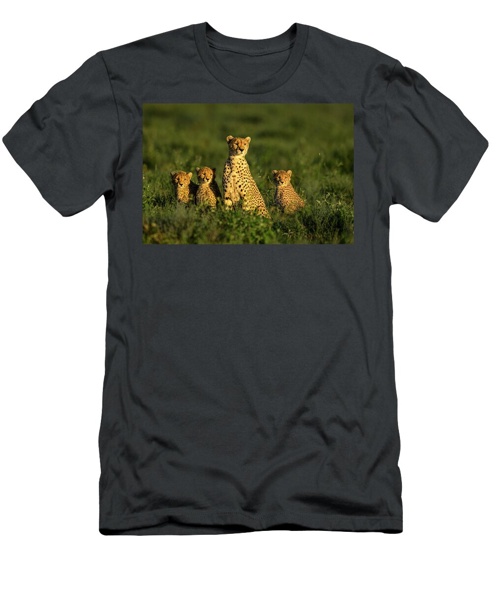 1 Cheetah Female with Three Cubs Aged Approx 8 Months Nick Garbutt Natureplcom T-Shirt