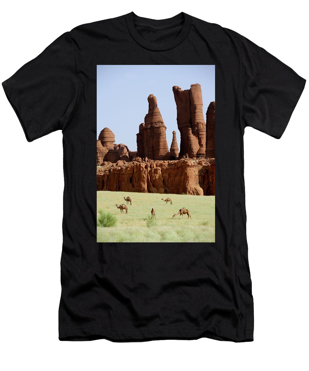 1 Eroded Sandstone Rock Formations with Dromedary Camels Enrique Lopez Tapia Natureplcom T-Shirt