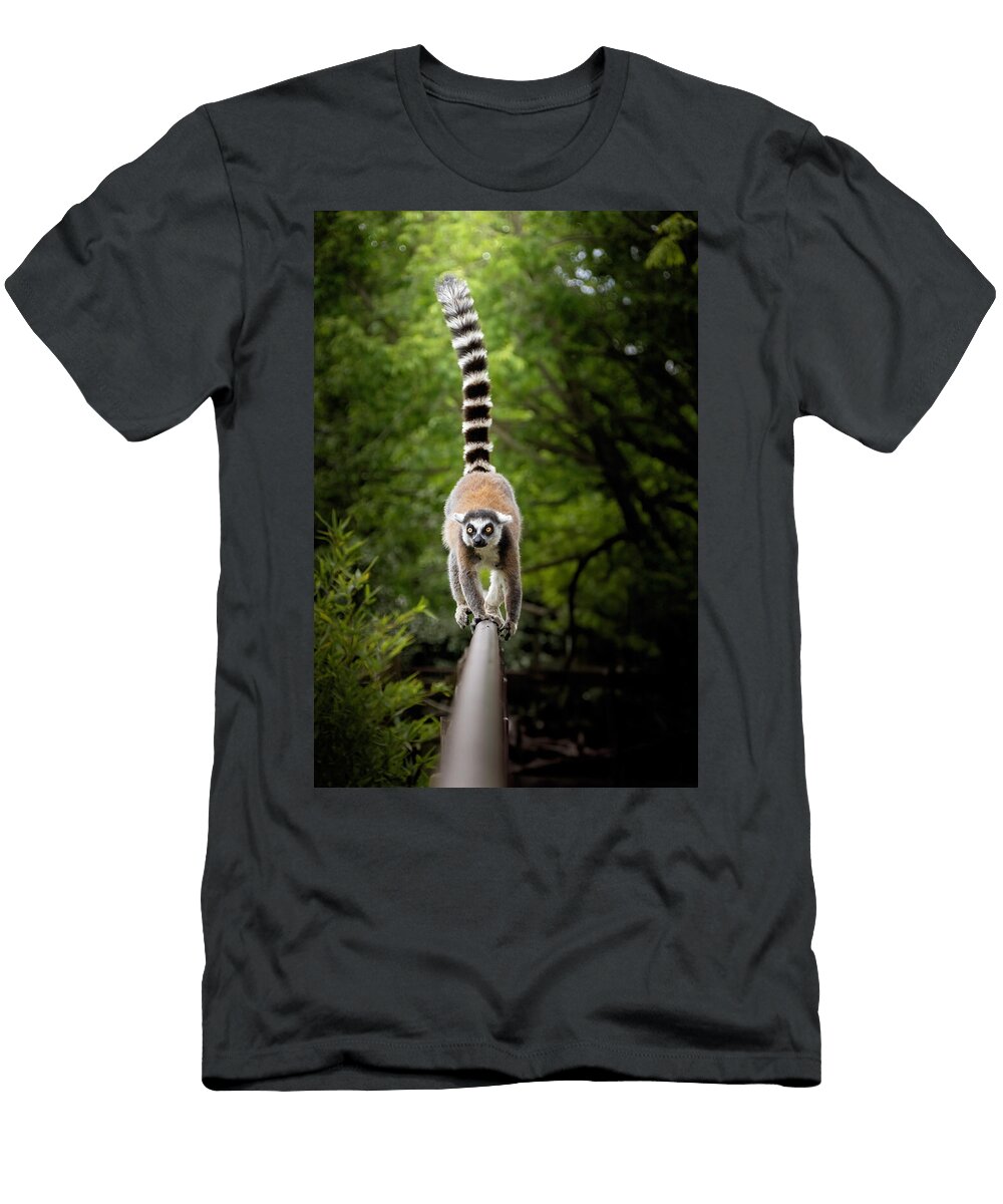 1 Lemur Andrea Giuseppe Sottotetti T-Shirt