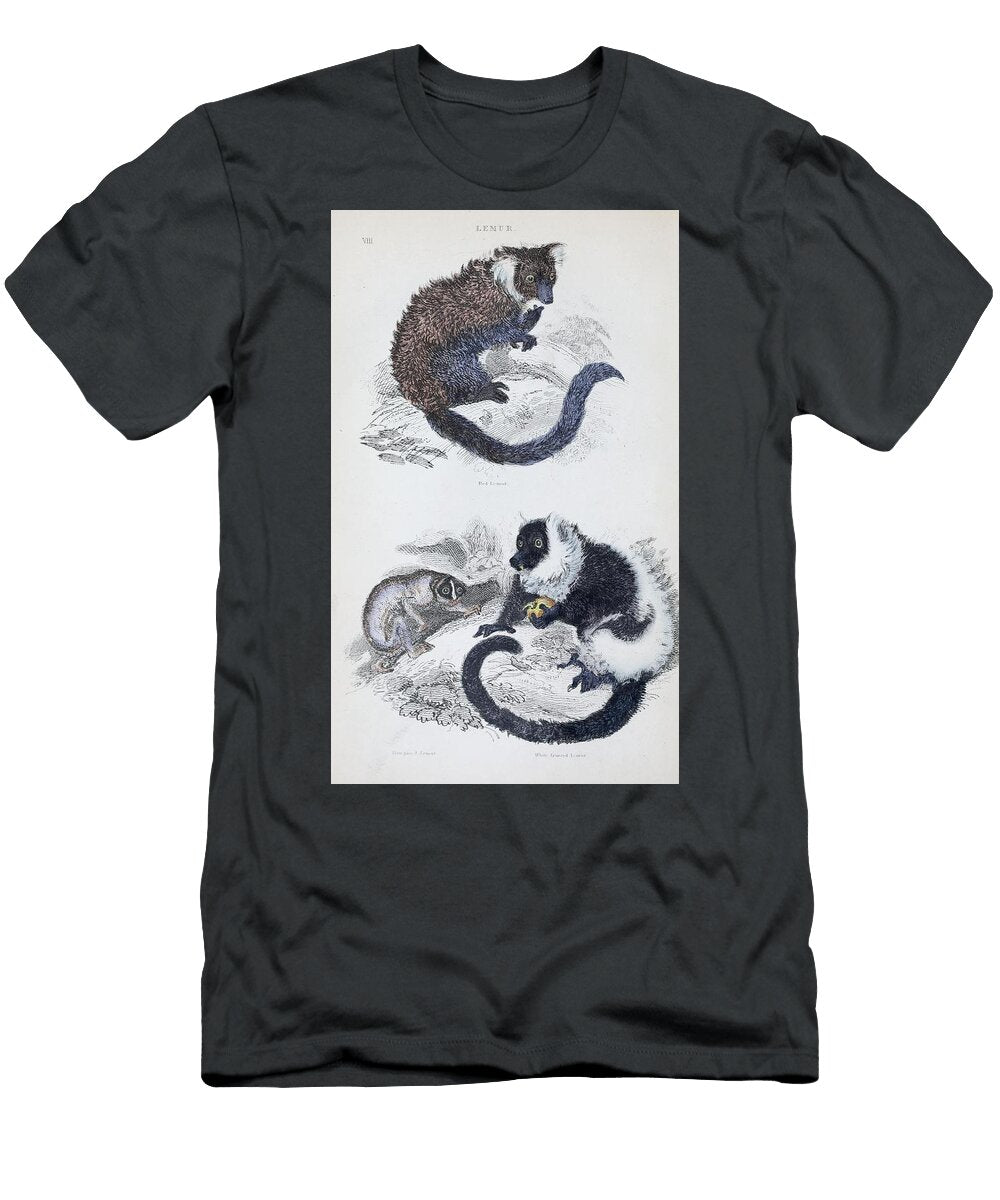 1 Lemur Beautiful Nature Prints T-Shirt