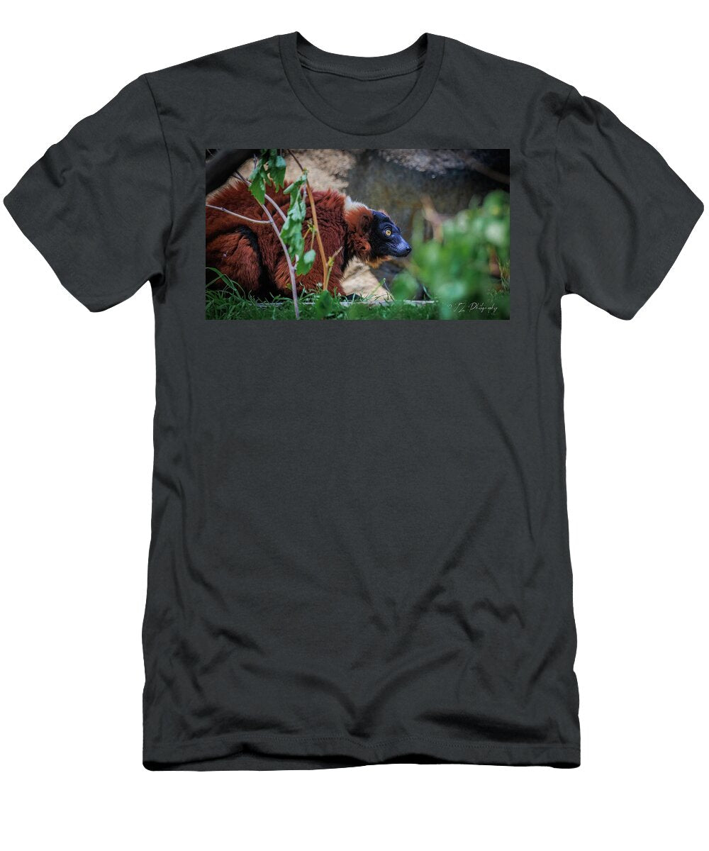 1 Lemur Jz Photography T-Shirt