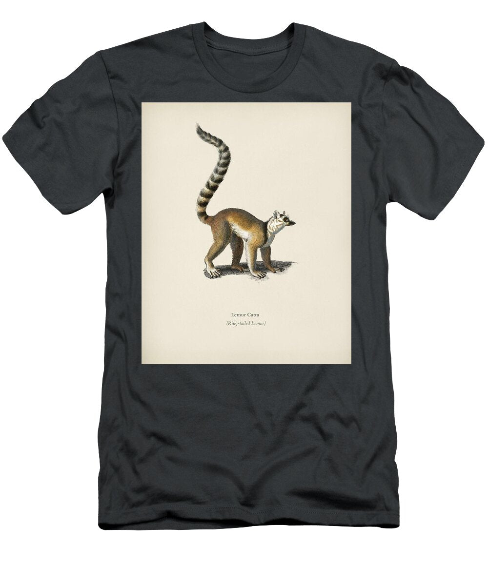 1 Ring Tailed Lemur Lemur Catta Illustrated By Charles Dessalines D Orbigny 1806 1876 Celestial Images T-Shirt