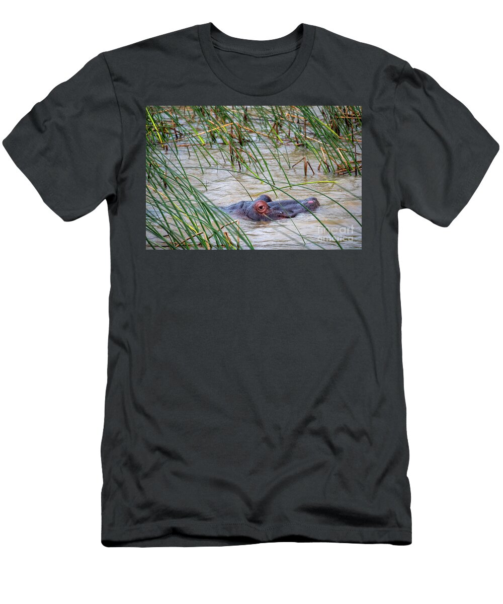 Hippo in Santa Lucia South Africa Jess Kraft T-Shirt