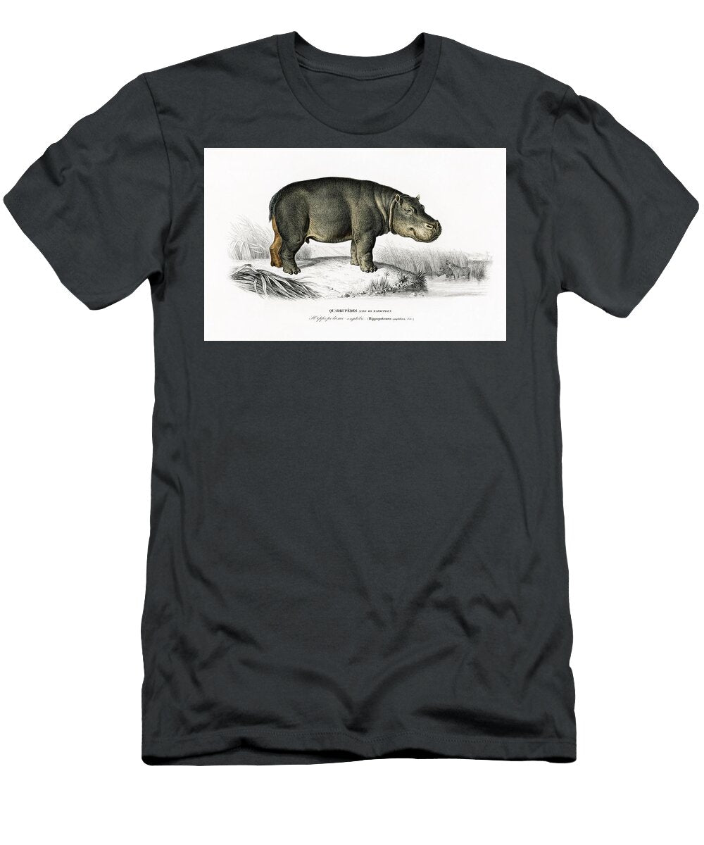 Hippo Wild Animal Africa Vintage Les Classics T-Shirt