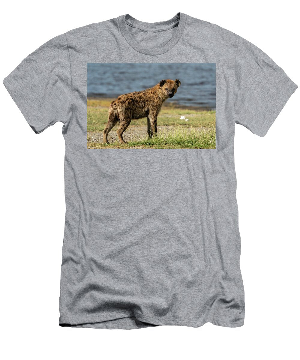 Hyena Sergio Pitamitz T-Shirt