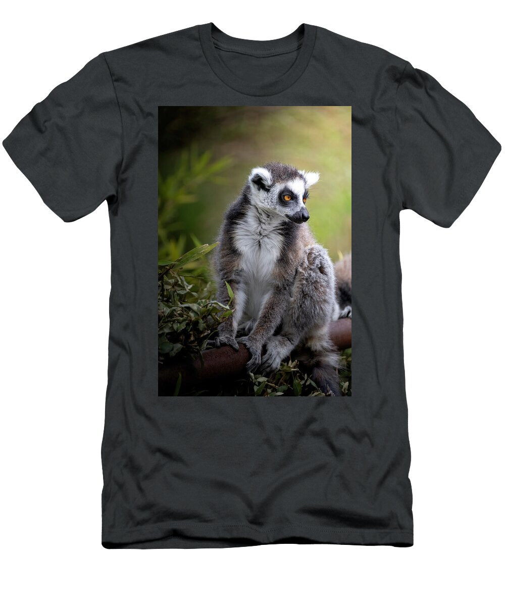 Lemur Andrea Giuseppe Sottotetti T-Shirt