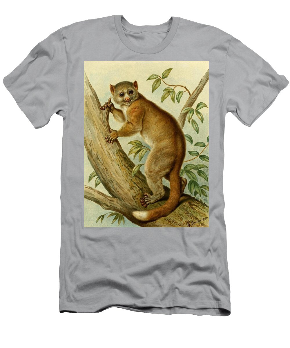 Lemur Beautiful Nature Prints T-Shirt