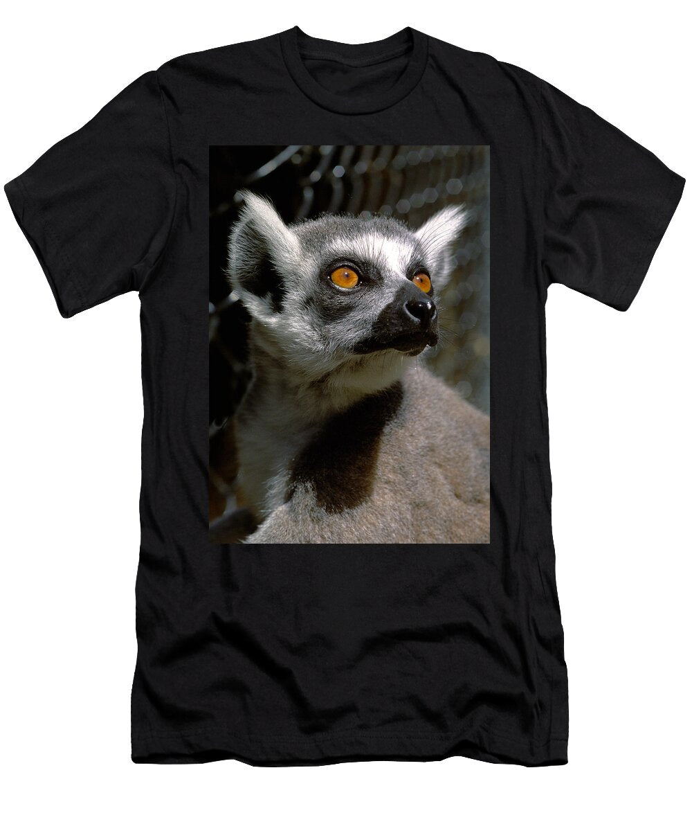 Lemur Eyes Buffaloworks Photography T-Shirt