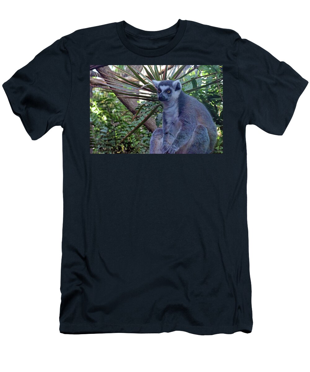Lemur Larah Mcelroy T-Shirt
