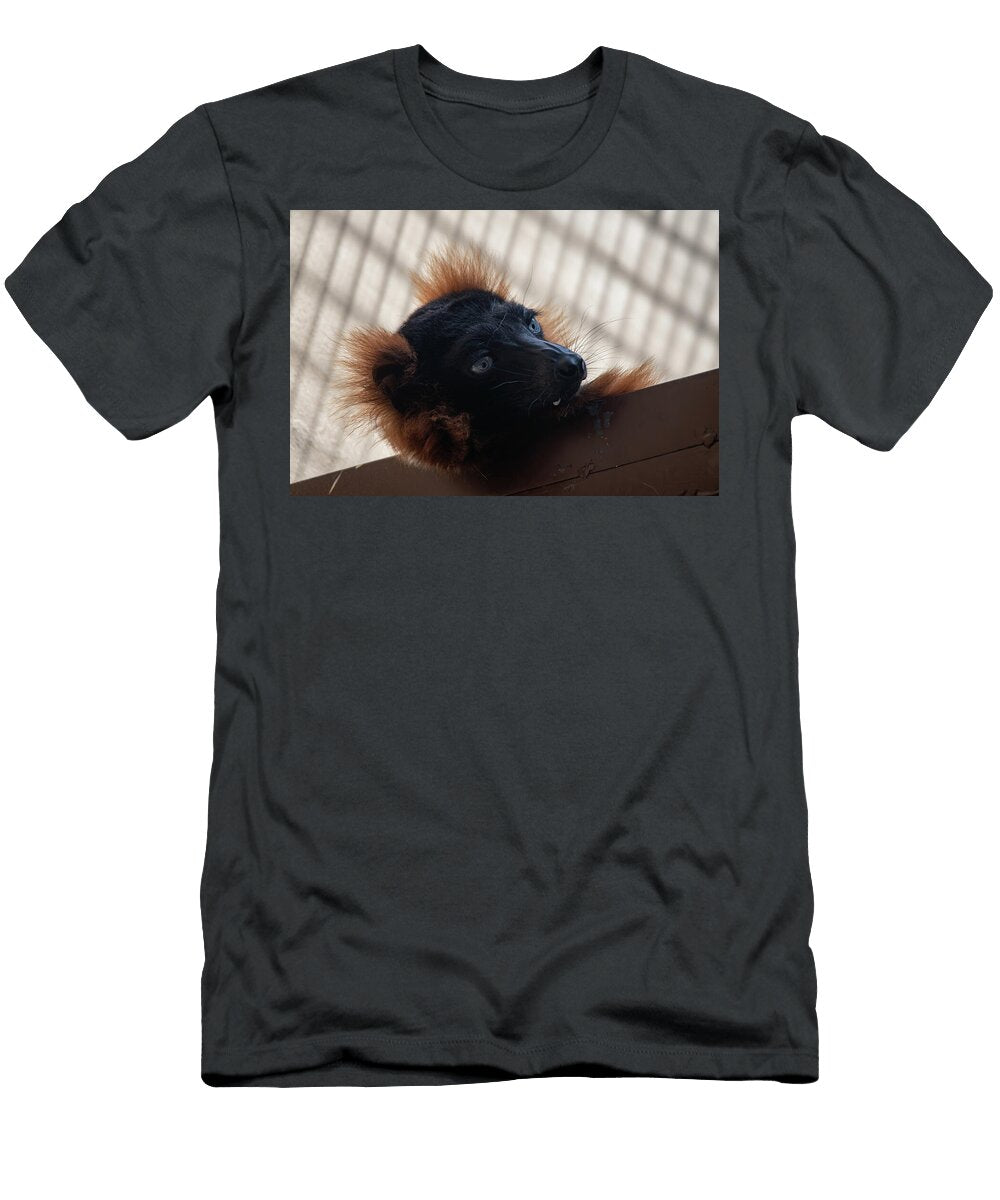 Lemur Melissa Shoemaker T-Shirt