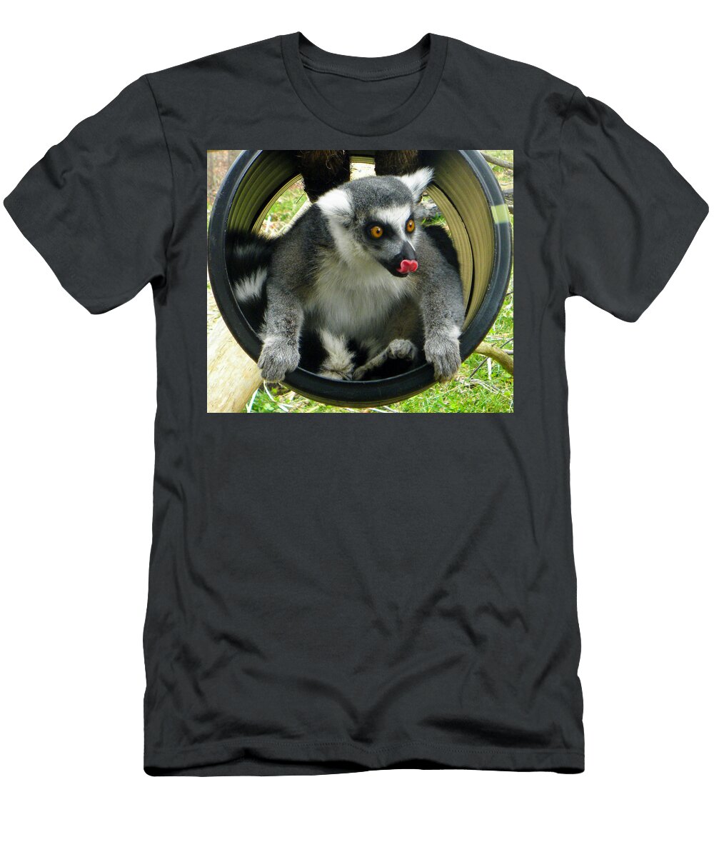 Lemur Play Sandi Oreilly T-Shirt