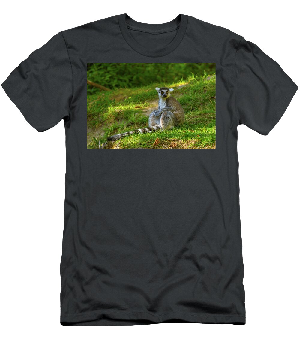 Lemur Sitting on Its Tail Marv Vandehey T-Shirt