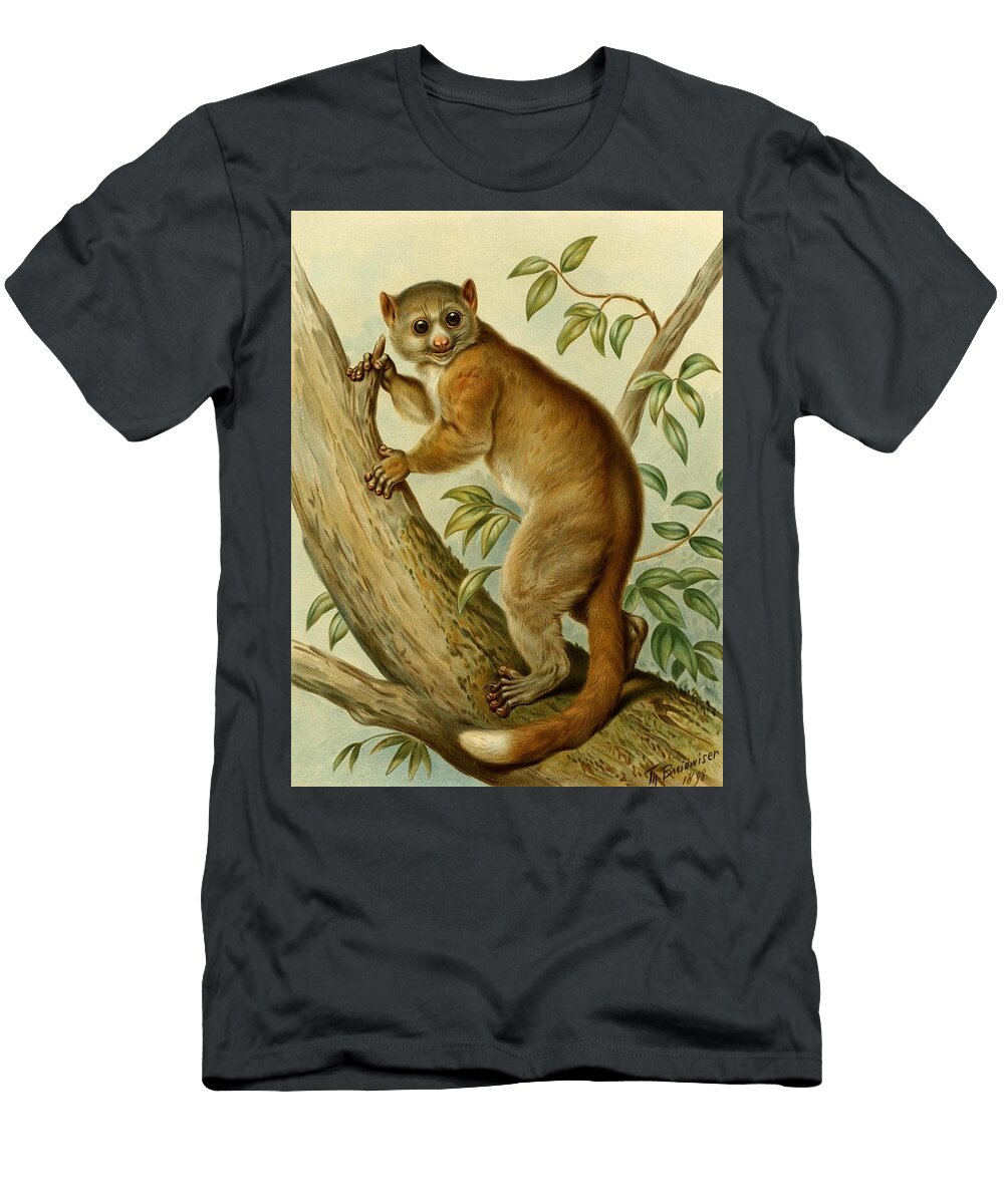Lemur Zoologist T-Shirt