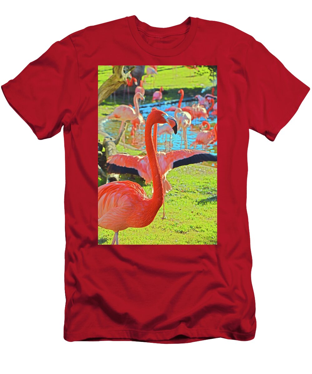 Pink Flamingos Andy Za T-Shirt