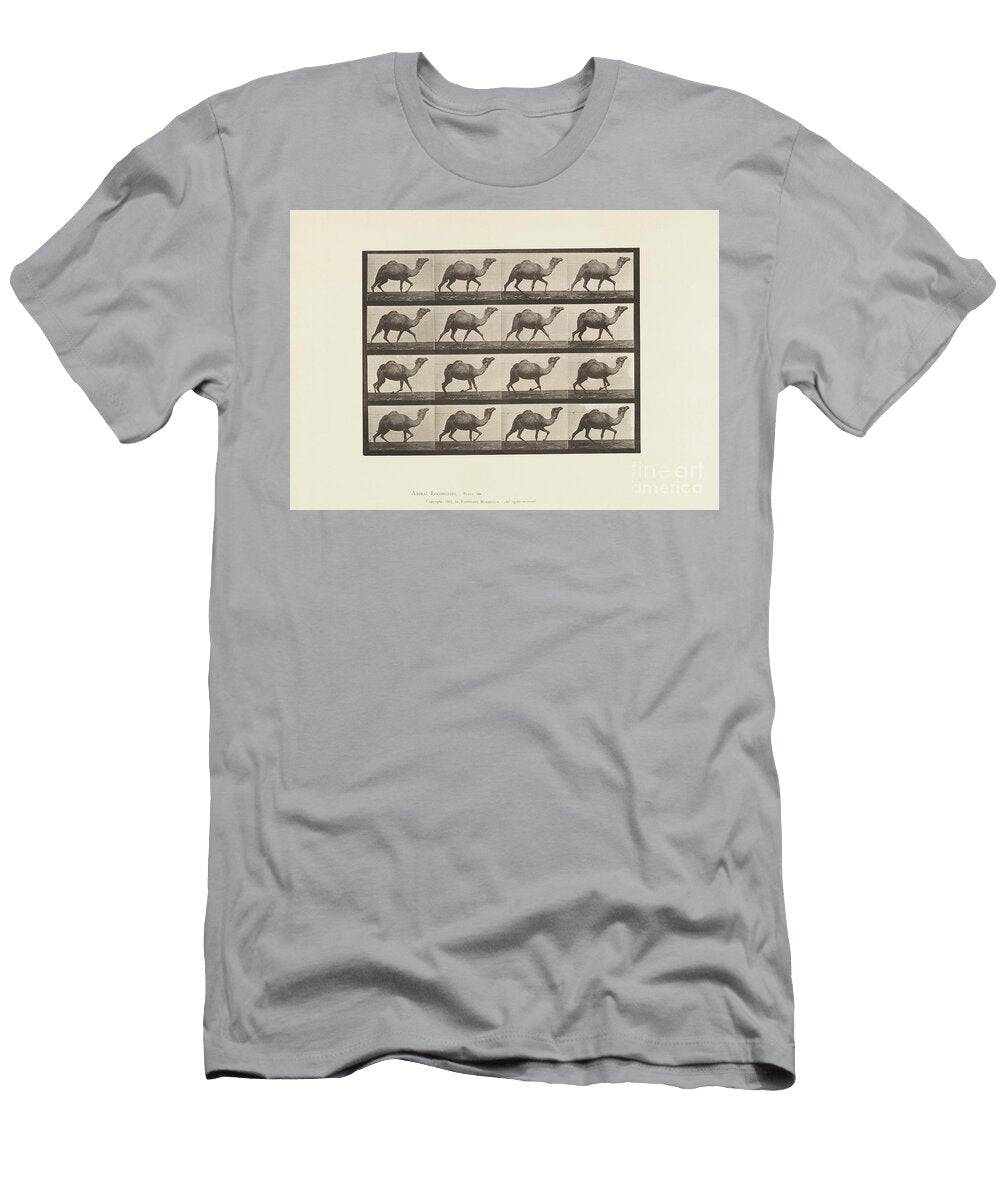 Plate 736 Egyptian Camel Racking 1885 Collotype on Paper Eadweard Muybridge T-Shirt