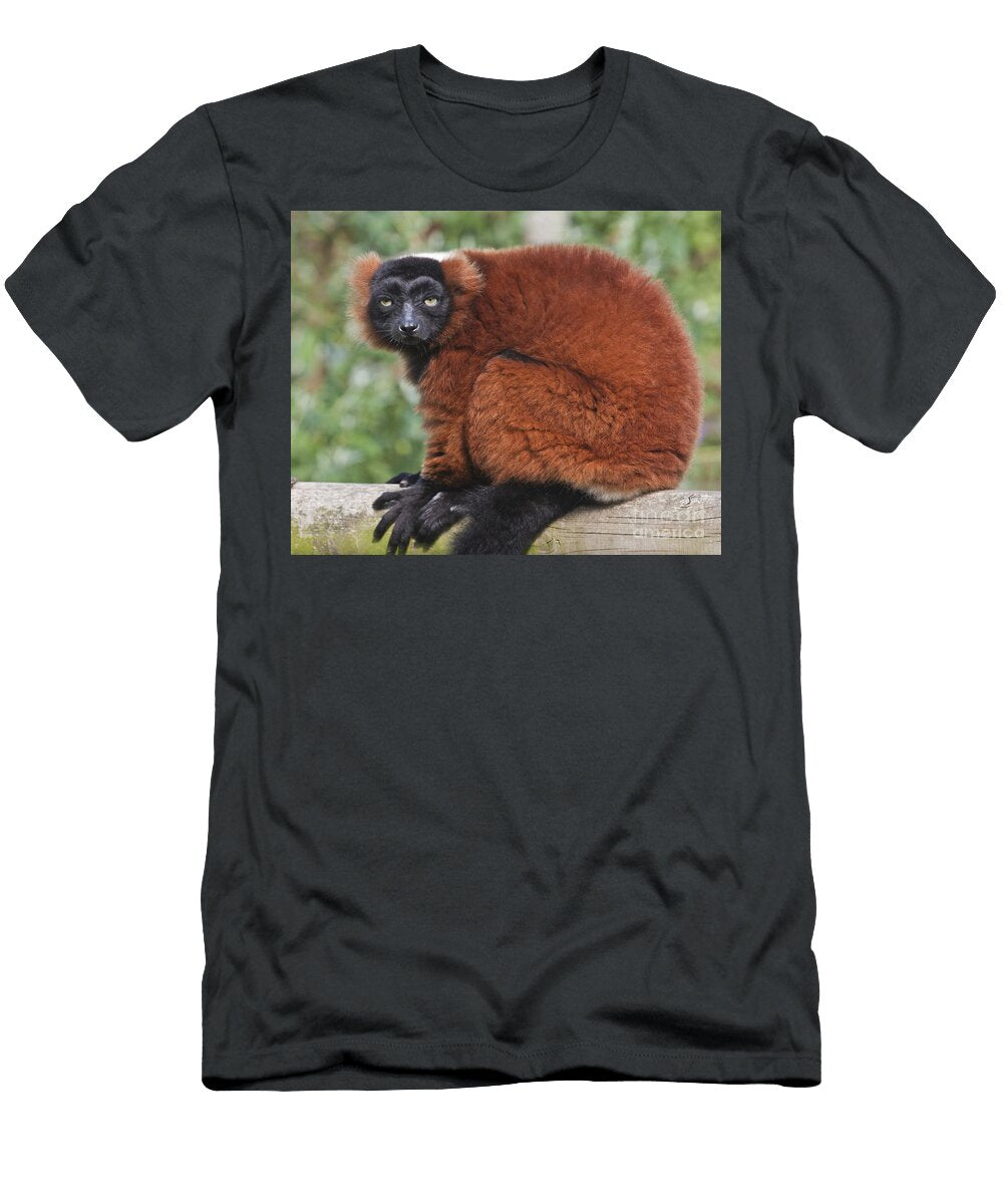 Red Ruffed Lemur Varecia Rubra Terri Waters T-Shirt