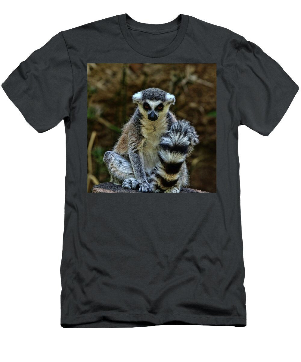 Ring Tailed Lemur Judy Vincent T-Shirt