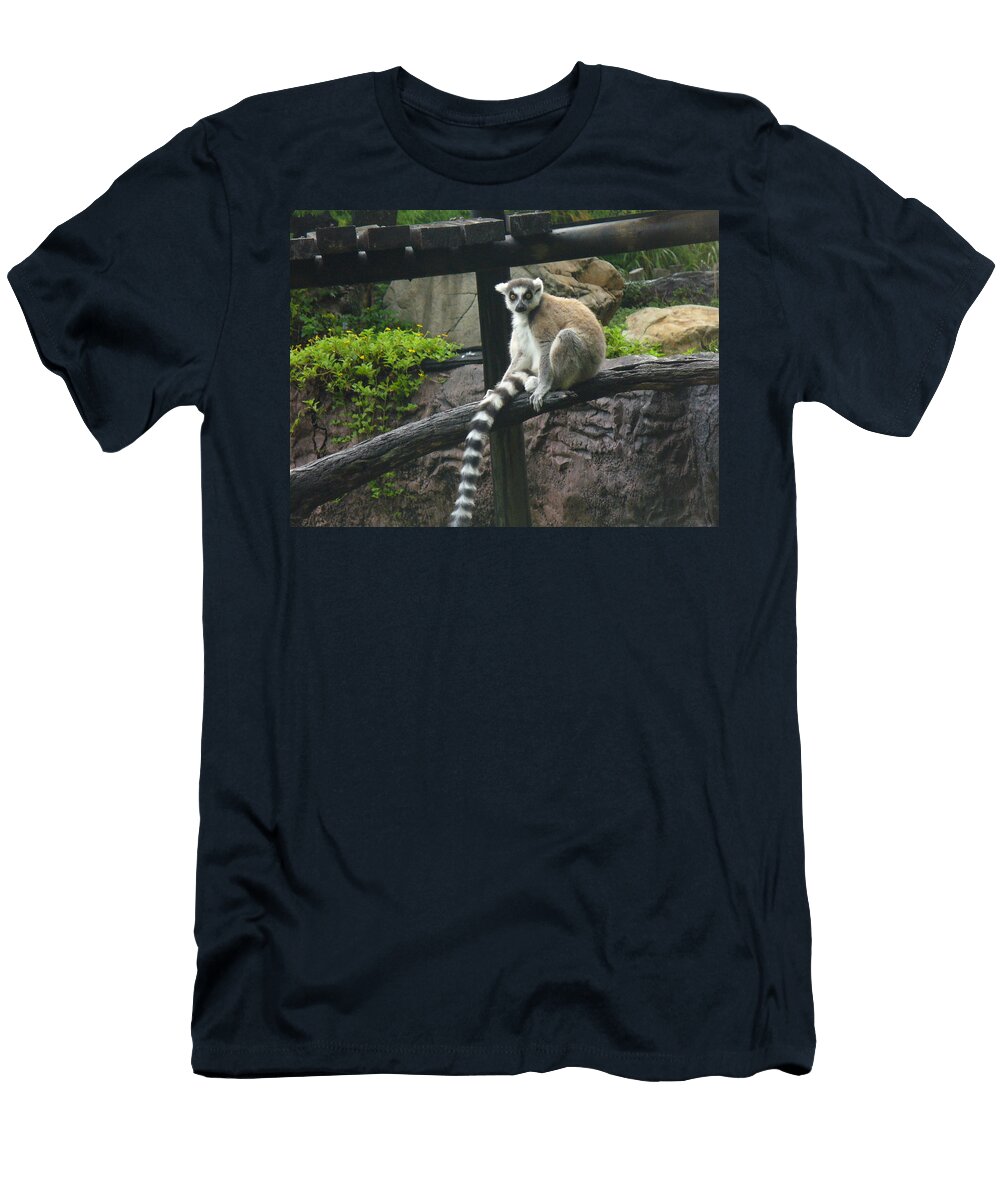 Ring Tailed Lemur Lingfai Leung T-Shirt