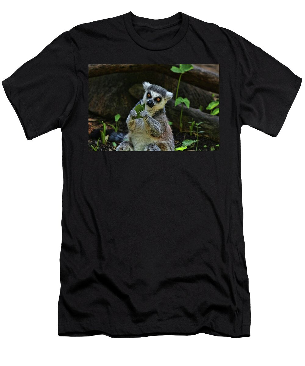Snack Time 2 Judy Vincent T-Shirt