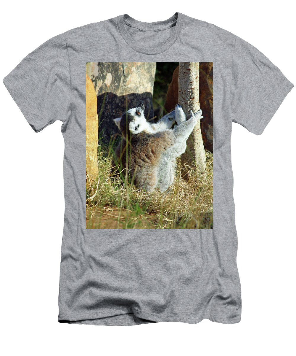 The Debate Audrey Woods T-Shirt