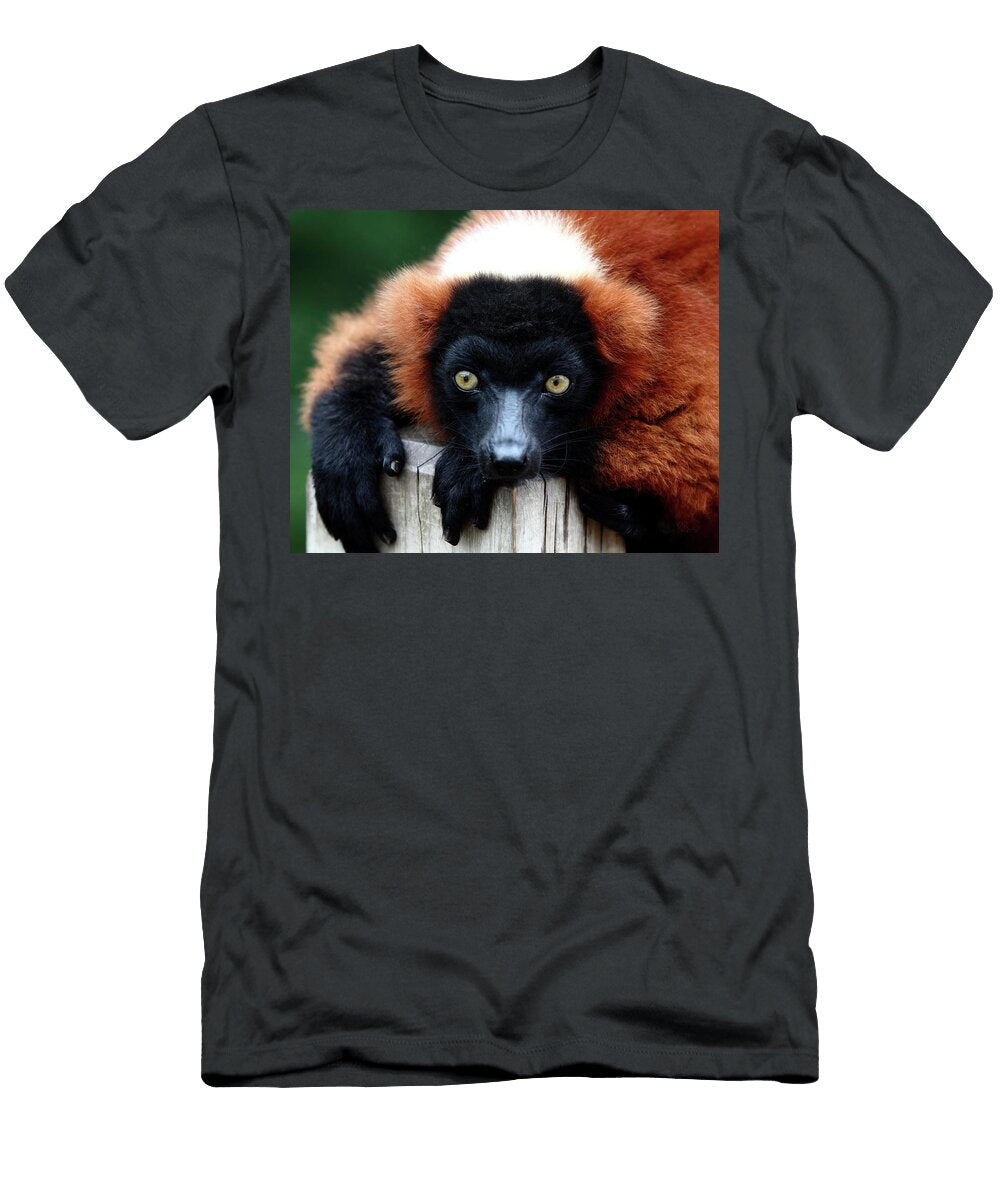 Whatchya Lookin At Lens Art Photographpy By Larry Trager T-Shirt