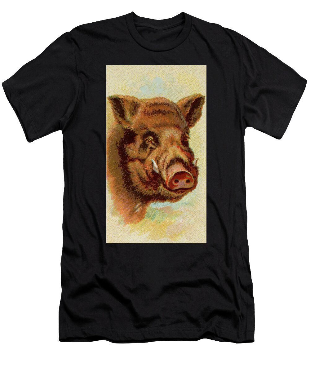 Wild Boar Vintage Animal Illustration Picked and Shared T-Shirt